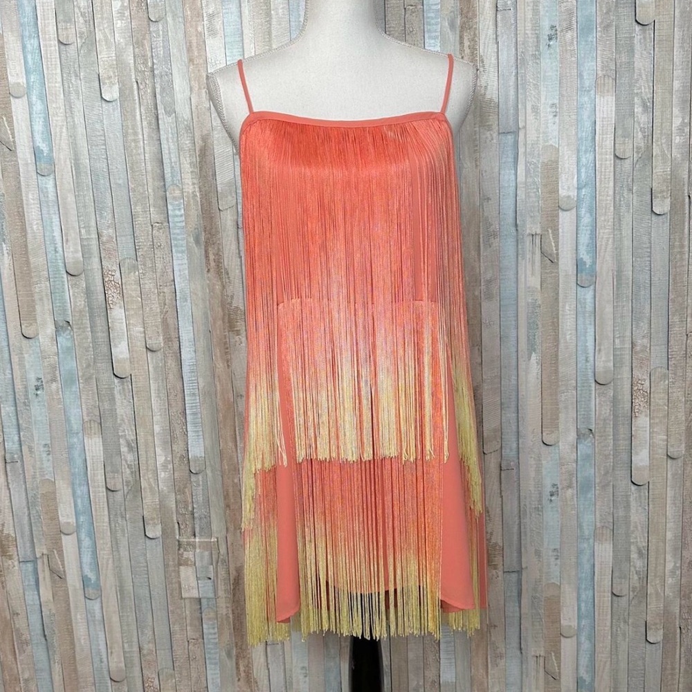 Show Me Your Mumu x Jamie Kidd Rhythm Mini Dress in Sunset Fringe